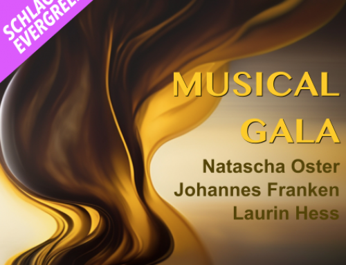 05.11.2024 – Musical Gala